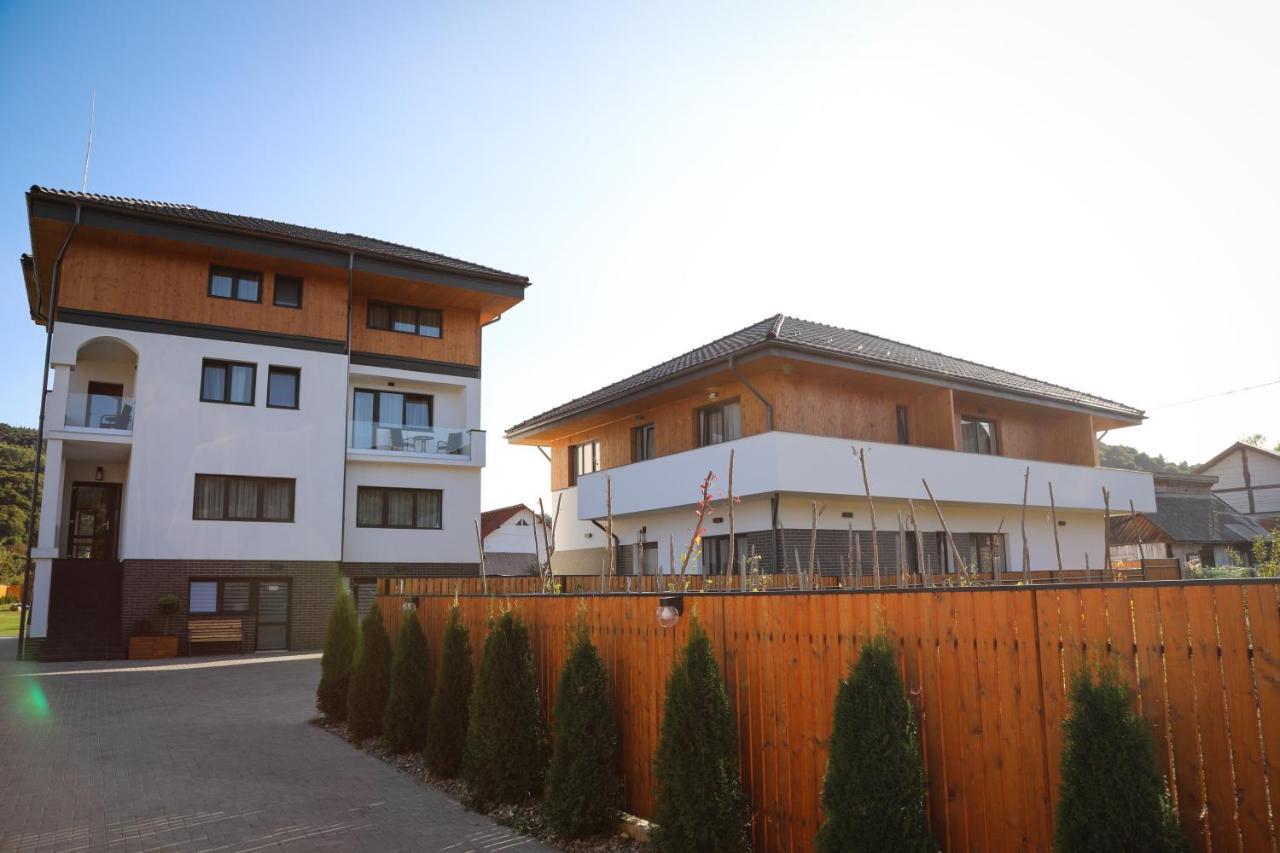 Pensiunea Maramures Guesthouse Viseu de Jos Exterior foto