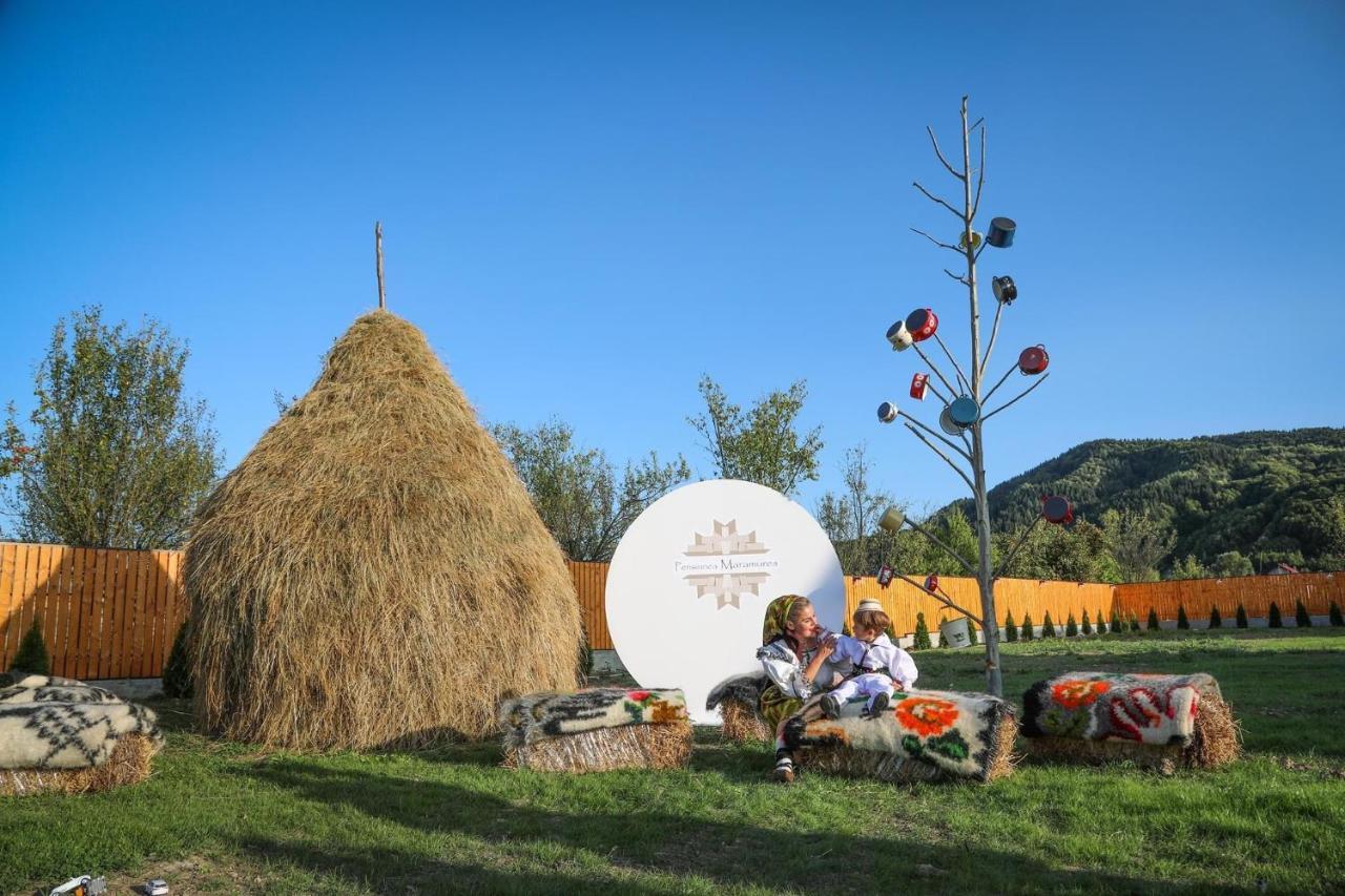 Pensiunea Maramures Guesthouse Viseu de Jos Exterior foto