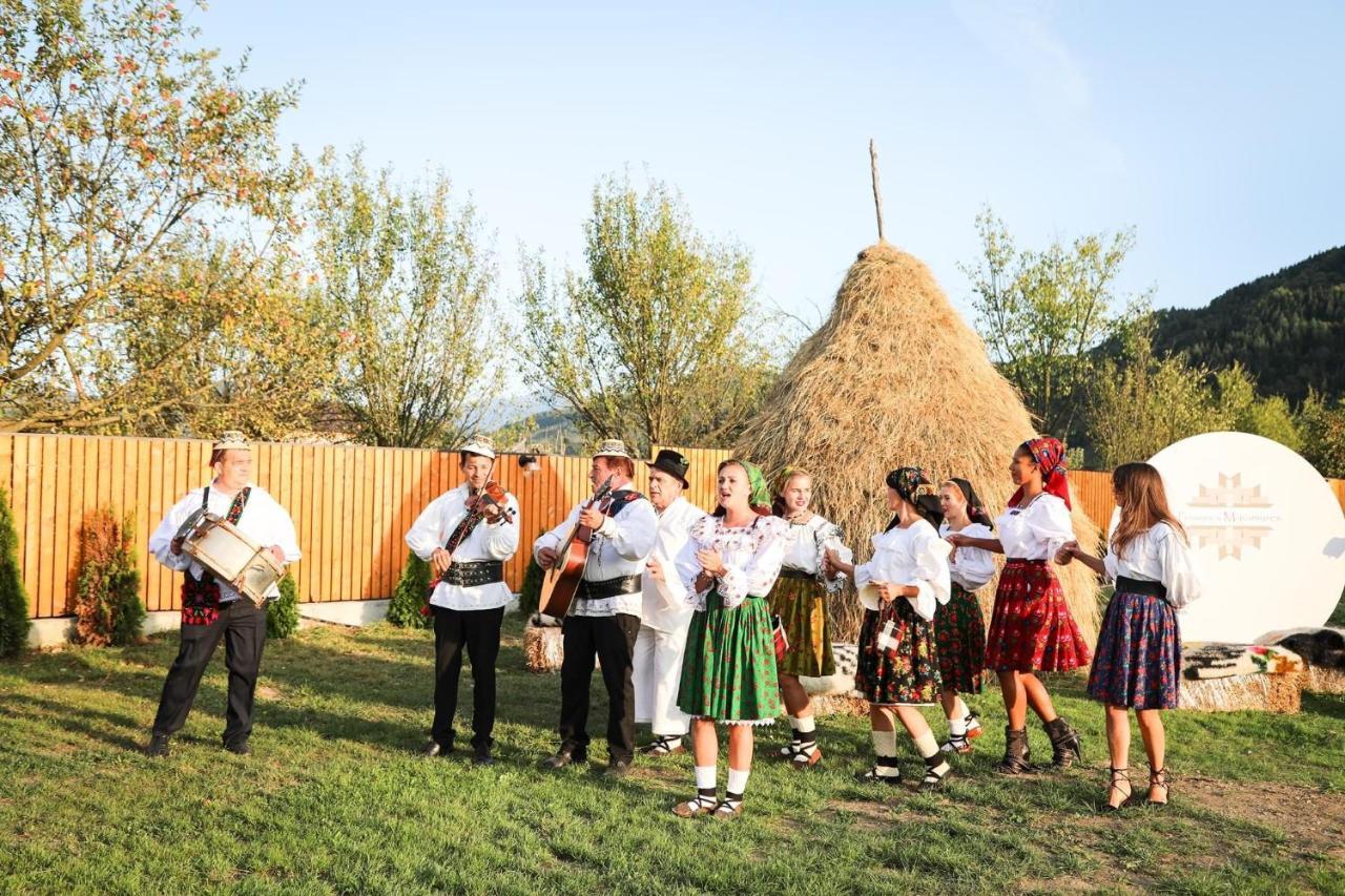 Pensiunea Maramures Guesthouse Viseu de Jos Exterior foto